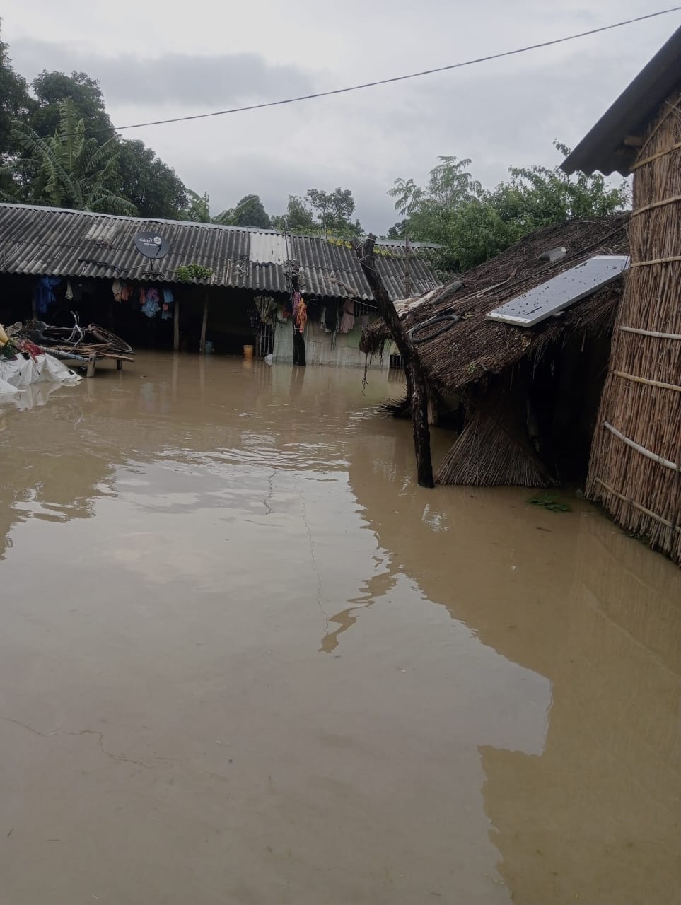 फोटो:-2बीसलपुर के अमरा करोड़ में गिरी गन्ने की फसल। संवाद फोटो:-2बीसलपुर के अमरा करोड़ में गिरी गन्ने की फसल। संवाद