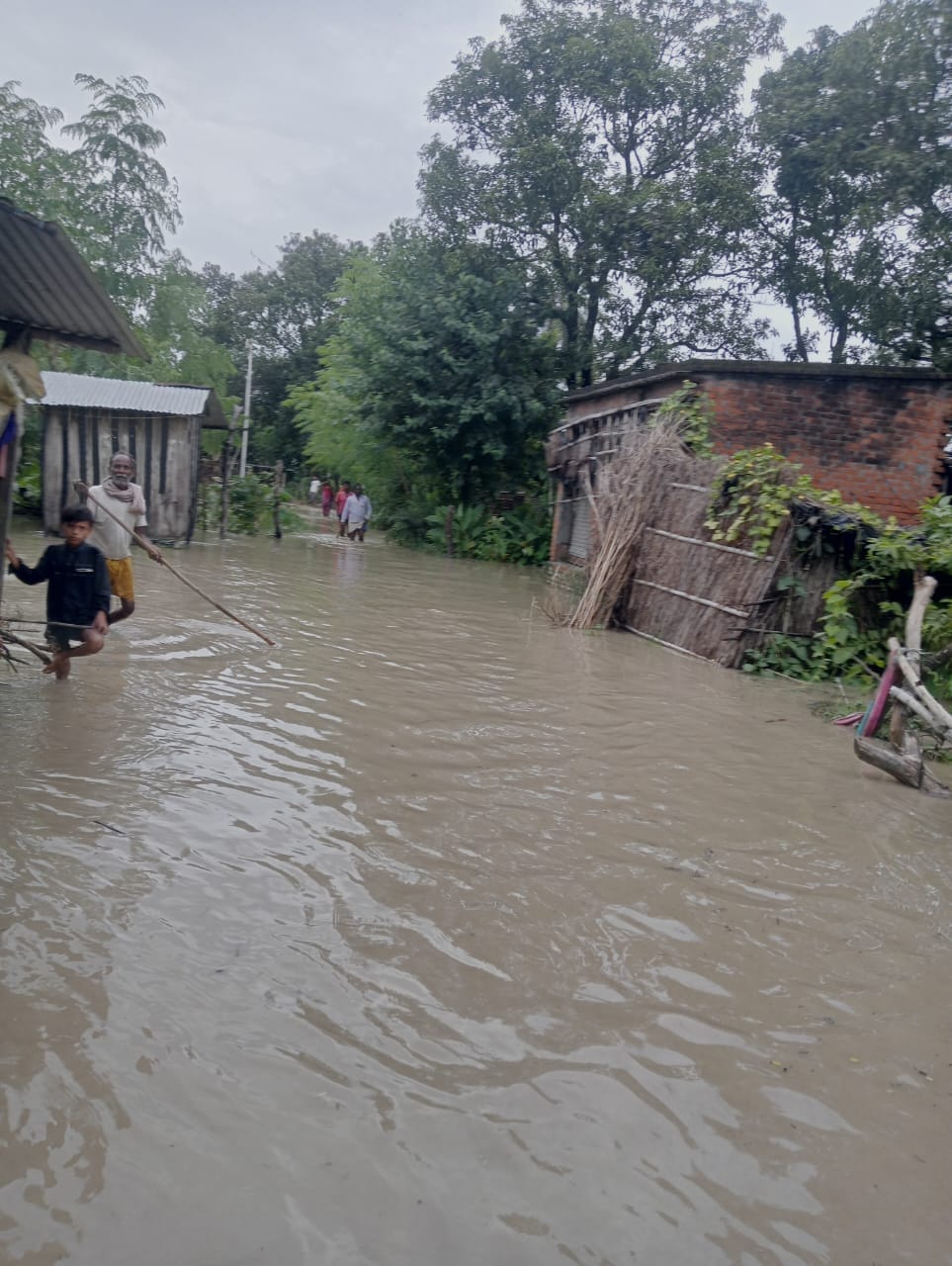 फोटो:-2बीसलपुर के अमरा करोड़ में गिरी गन्ने की फसल। संवाद फोटो:-2बीसलपुर के अमरा करोड़ में गिरी गन्ने की फसल। संवाद