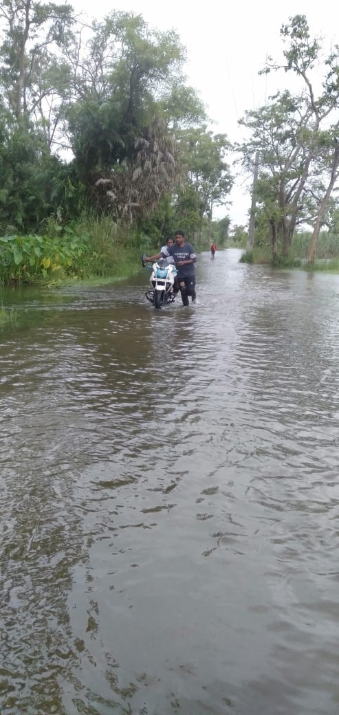 फोटो:-2बीसलपुर के अमरा करोड़ में गिरी गन्ने की फसल। संवाद फोटो:-2बीसलपुर के अमरा करोड़ में गिरी गन्ने की फसल। संवाद