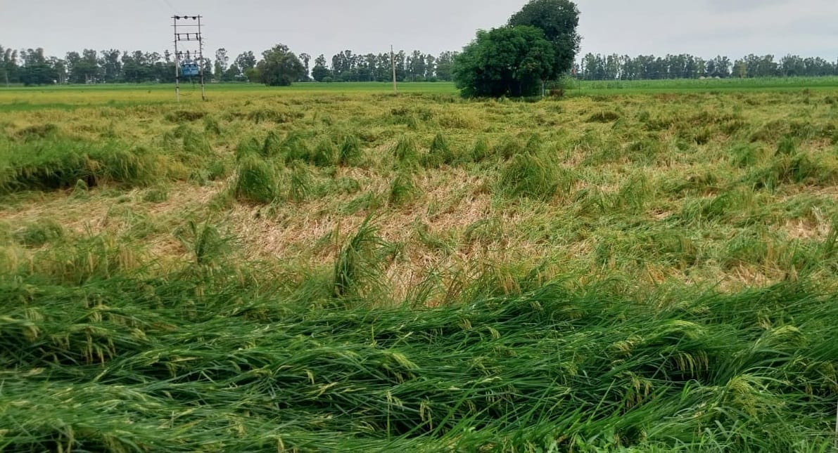 कुरुक्षेत्र। बारिश होने से शहर में हुआ जलभराव। संवाद