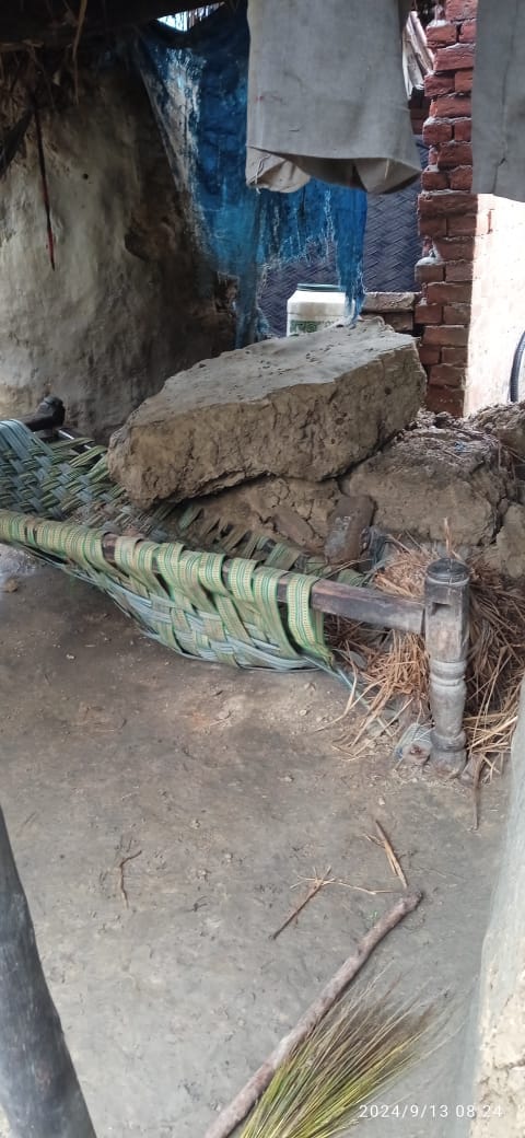 मकान पर गिरा पीपल का पेड़  फोटो संवाद