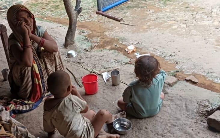 मकान पर गिरा पीपल का पेड़  फोटो संवाद