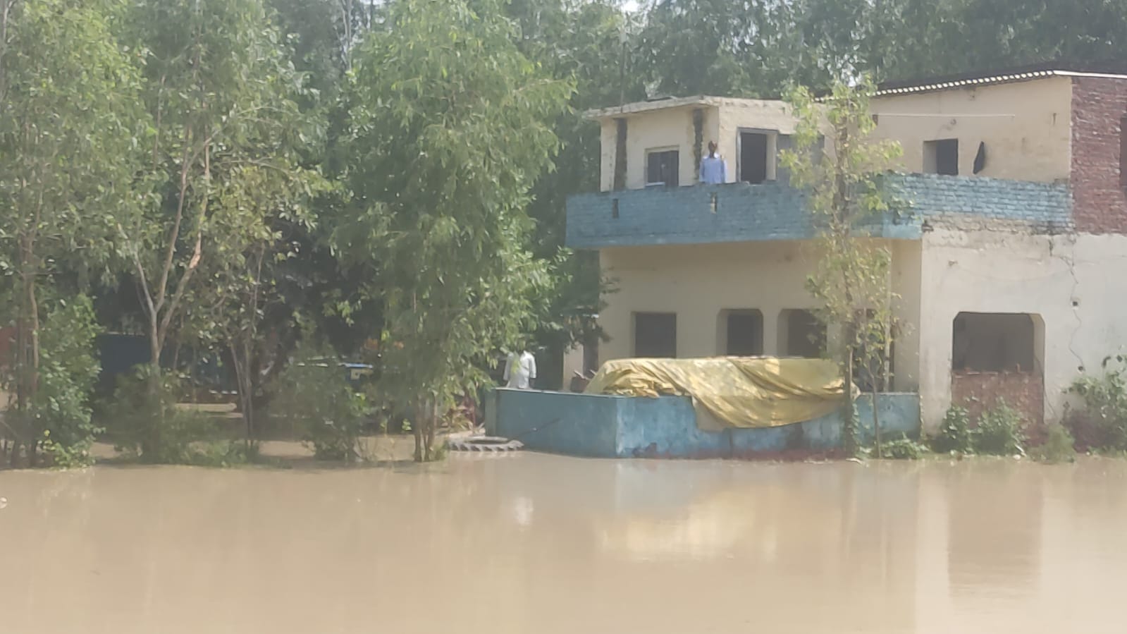 बैलगाड़ी से चारा लाते हुये किसान बैलगाड़ी से चारा लाते हुये किसान