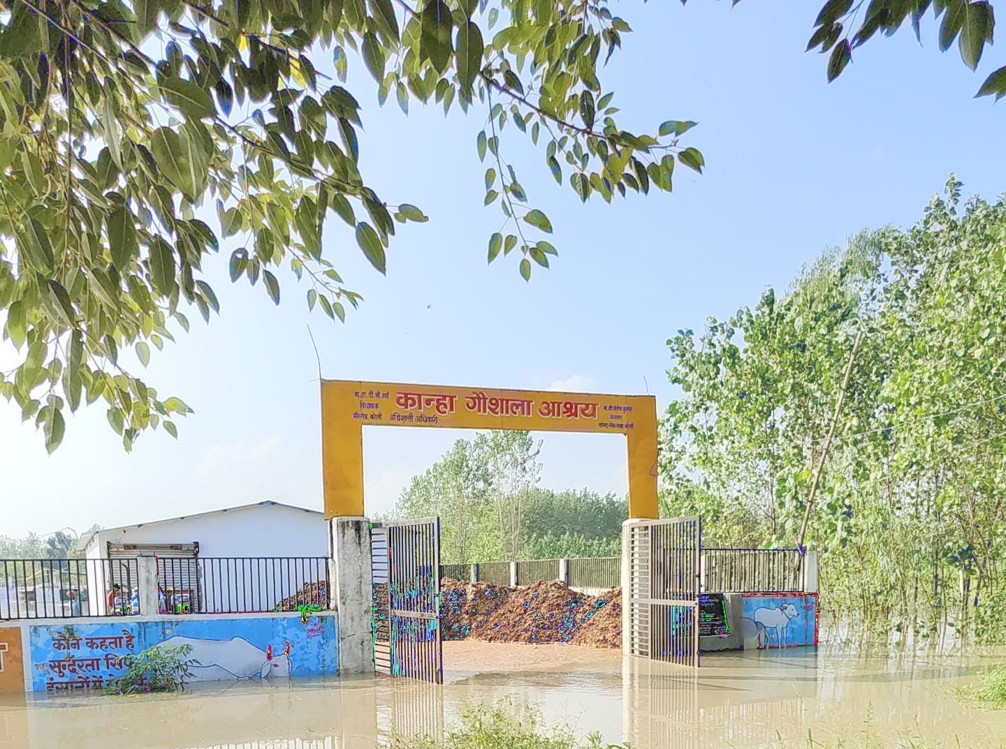 बैलगाड़ी से चारा लाते हुये किसान बैलगाड़ी से चारा लाते हुये किसान