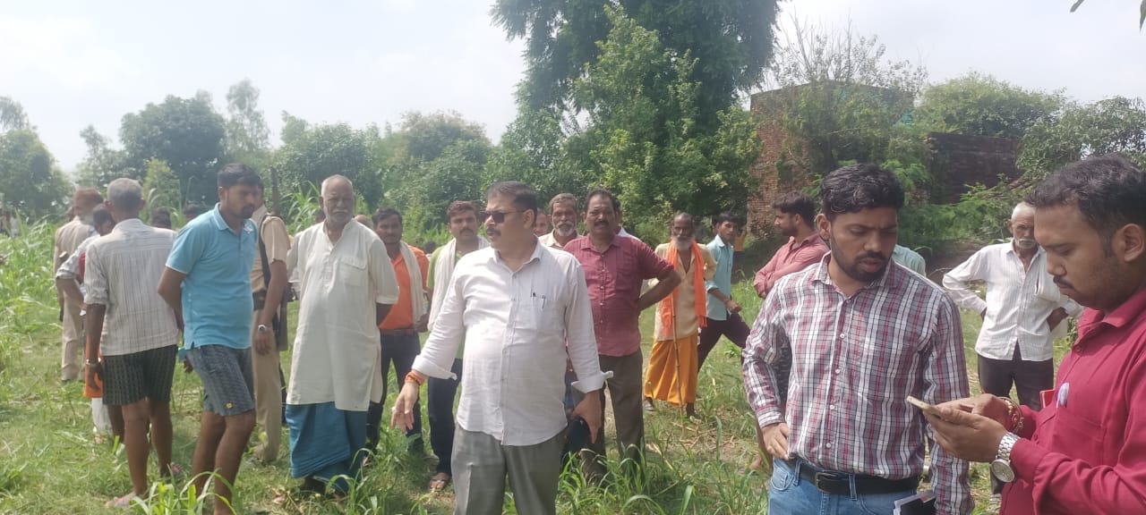 बैलगाड़ी से चारा लाते हुये किसान बैलगाड़ी से चारा लाते हुये किसान