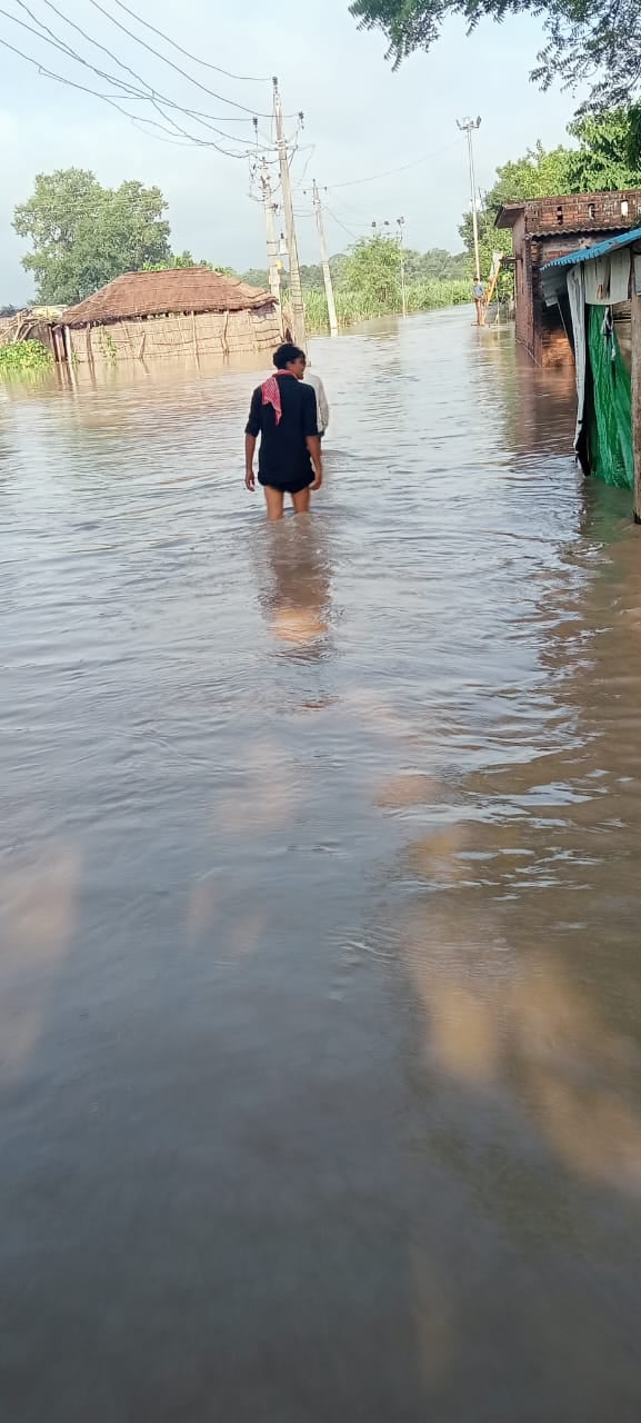 पूरनपुर की ध्रुव कॉलोनी में भरा पानी। संवाद पूरनपुर की ध्रुव कॉलोनी में भरा पानी। संवाद