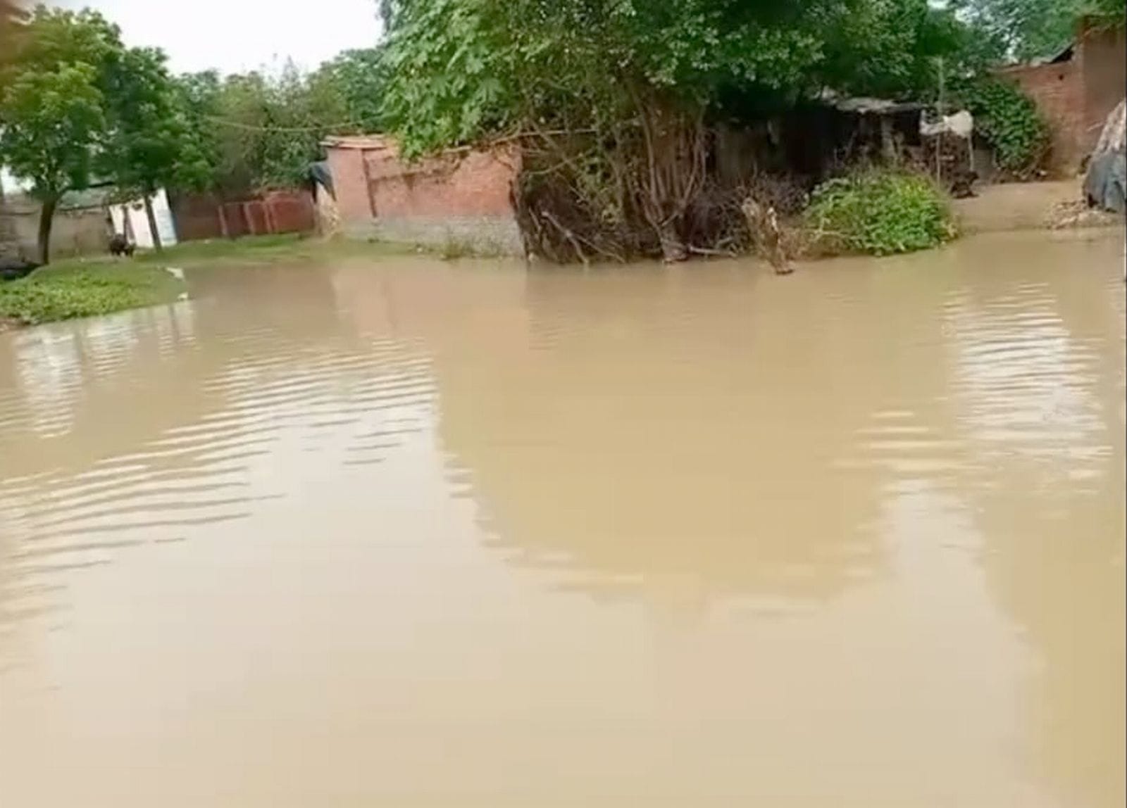 दातागंज क्षेत्र के गांव जरतौली के प्राथमिक विद्यालय में भरा बाढ़ का पानी। संवाद दातागंज क्षेत्र के गांव जरतौली के प्राथमिक विद्यालय में भरा बाढ़ का पानी। संवाद
