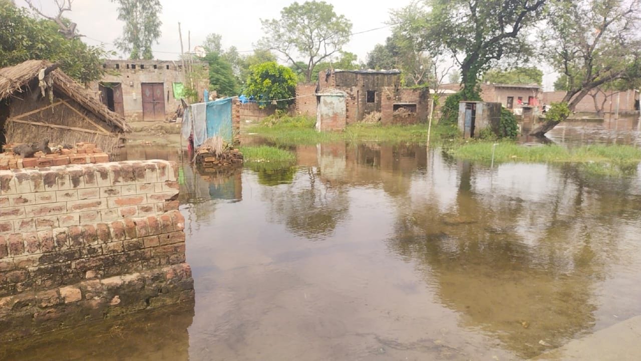 जलालाबाद-शमशाबाद स्टेट हाइवे पर गंगा की बाढ़ के बीच निकलती बैलगाड़ी। स्रोत: जागरुक पाठक जलालाबाद-शमशाबाद स्टेट हाइवे पर गंगा की बाढ़ के बीच निकलती बैलगाड़ी। स्रोत: जागरुक पाठक