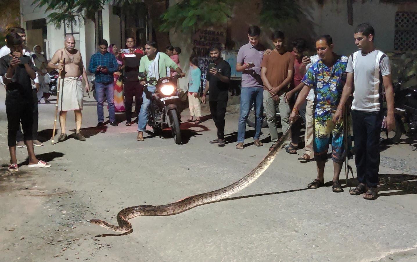 बारह फ़ीट लंबे अजगर को सड़क पर घूमता देखकर सहमे लोग बारह फ़ीट लंबे अजगर को सड़क पर घूमता देखकर सहमे लोग