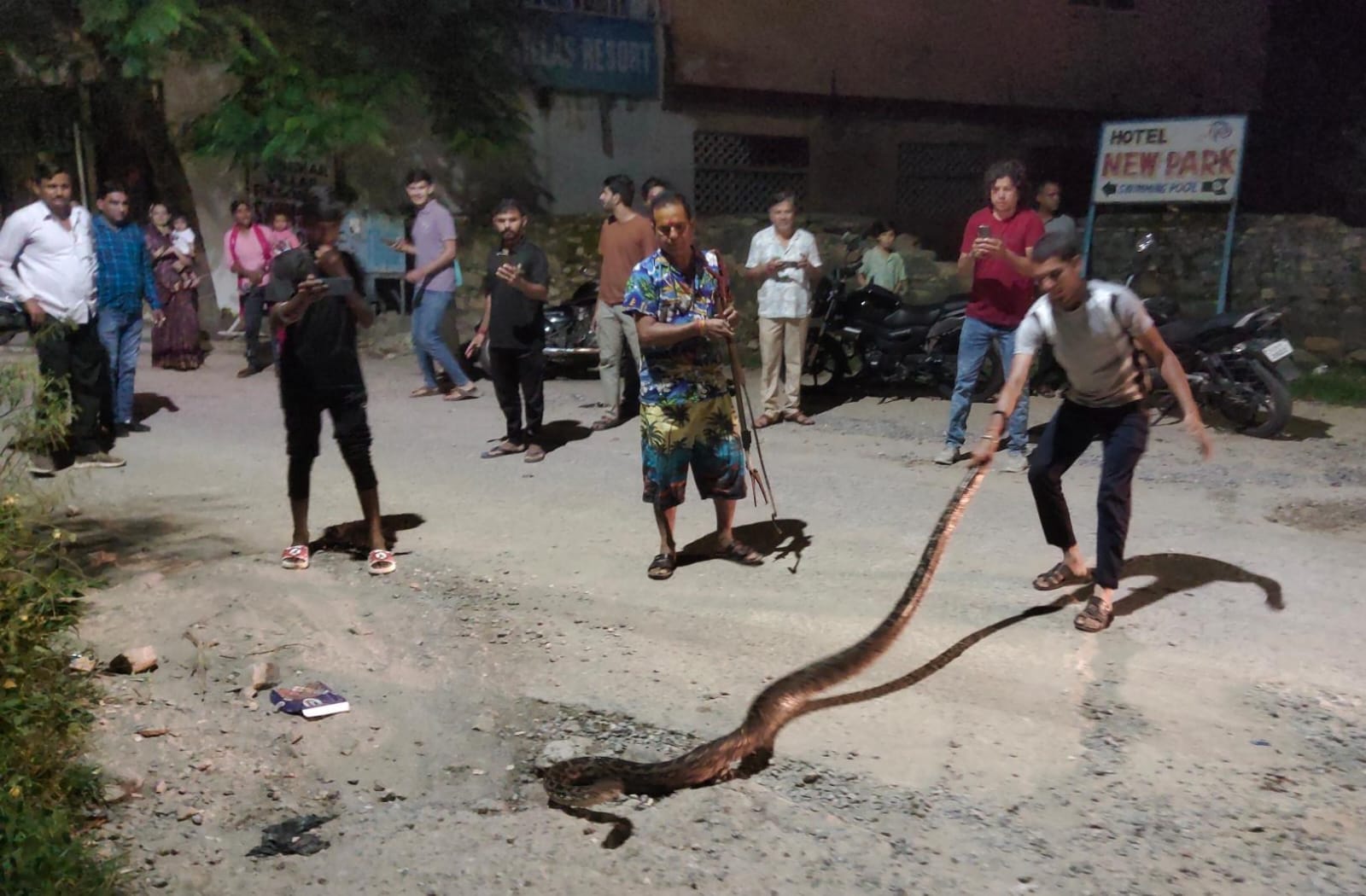 बारह फ़ीट लंबे अजगर को सड़क पर घूमता देखकर सहमे लोग बारह फ़ीट लंबे अजगर को सड़क पर घूमता देखकर सहमे लोग