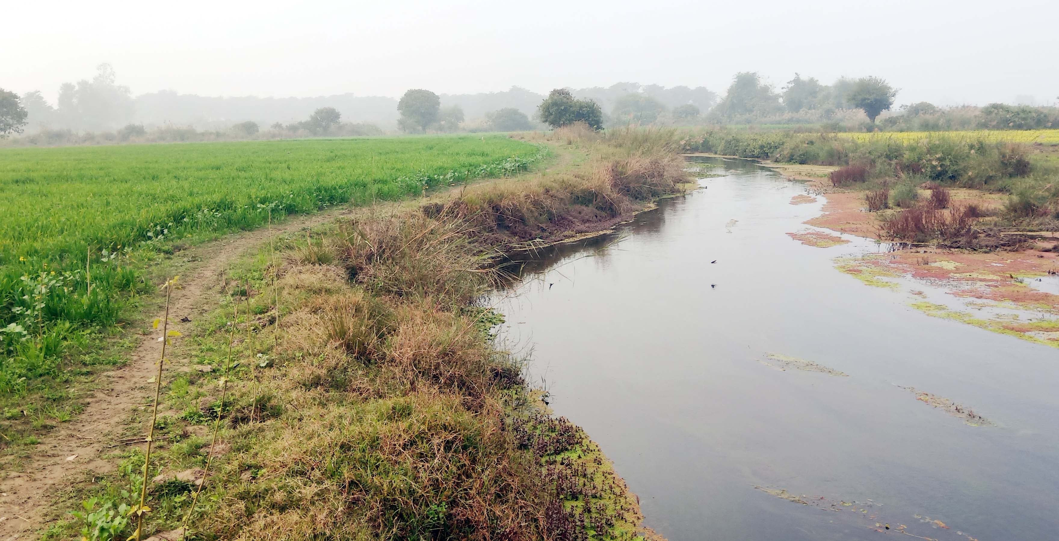 गर्रा नदी में गिरता नाले का पानी। संवाद