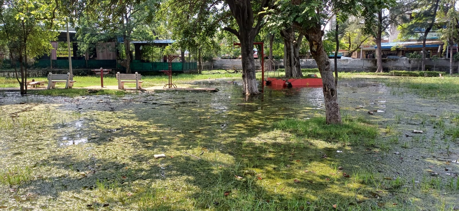 अंबाला छावनी के इंदिरा पार्क में टूटे पडे़ बैंच