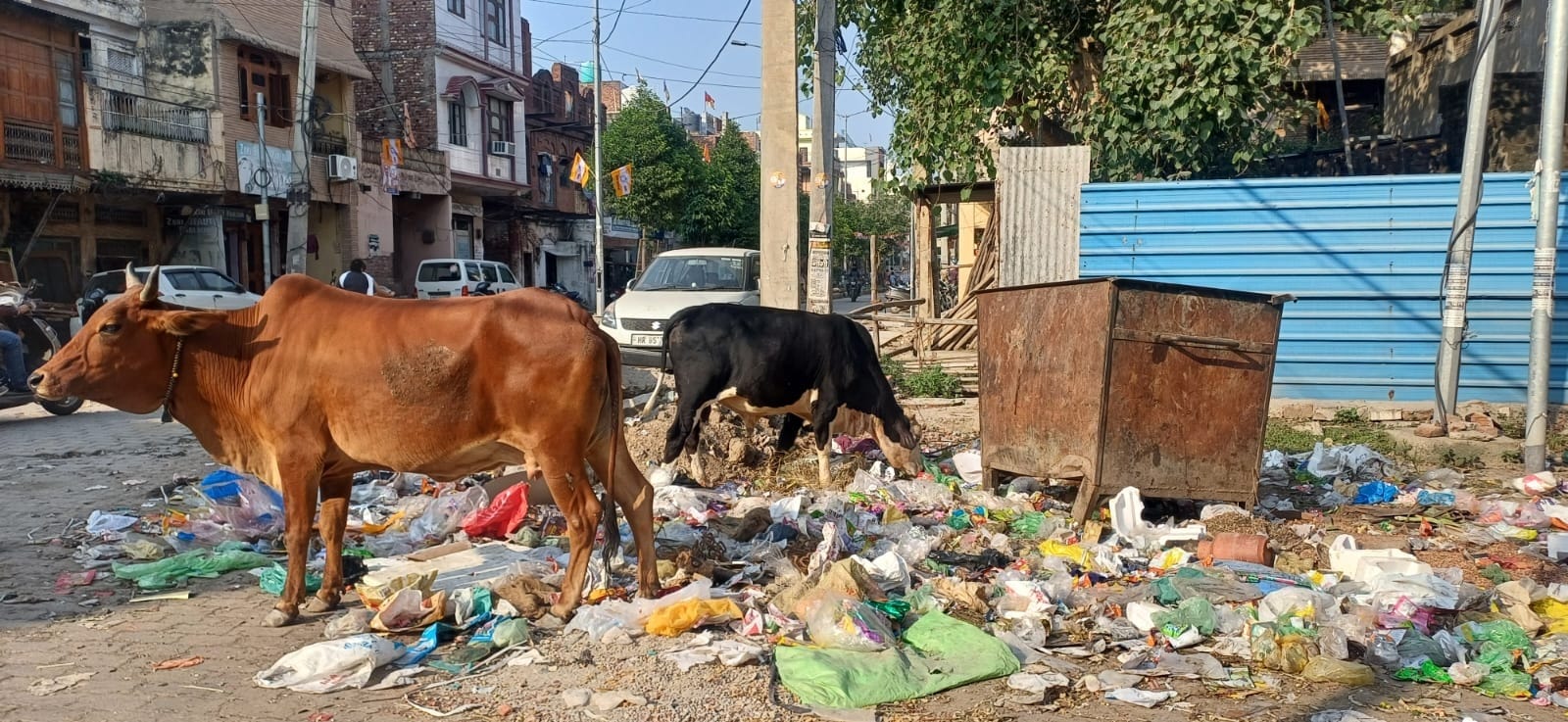 अंबाला सिटी के नौरंगराय तालाब के पास गली में लगे गंदगी के ढेर। संवाद