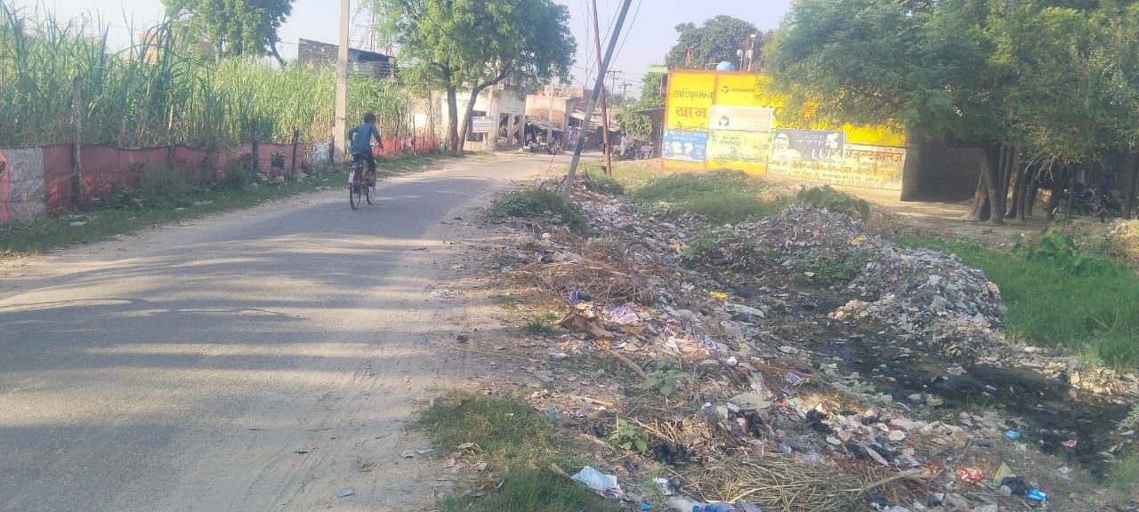 इल्मा फाइल फोटो इल्मा फाइल फोटो