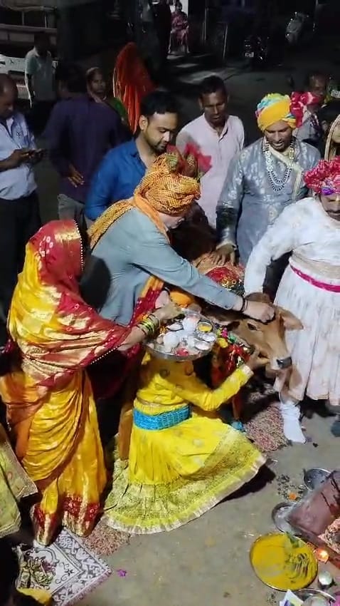 पूर्वजों को प्रेत योनि से मुक्ति के लिए हुआ अनोखा विवाह गाय बैल के हुए फेरे
