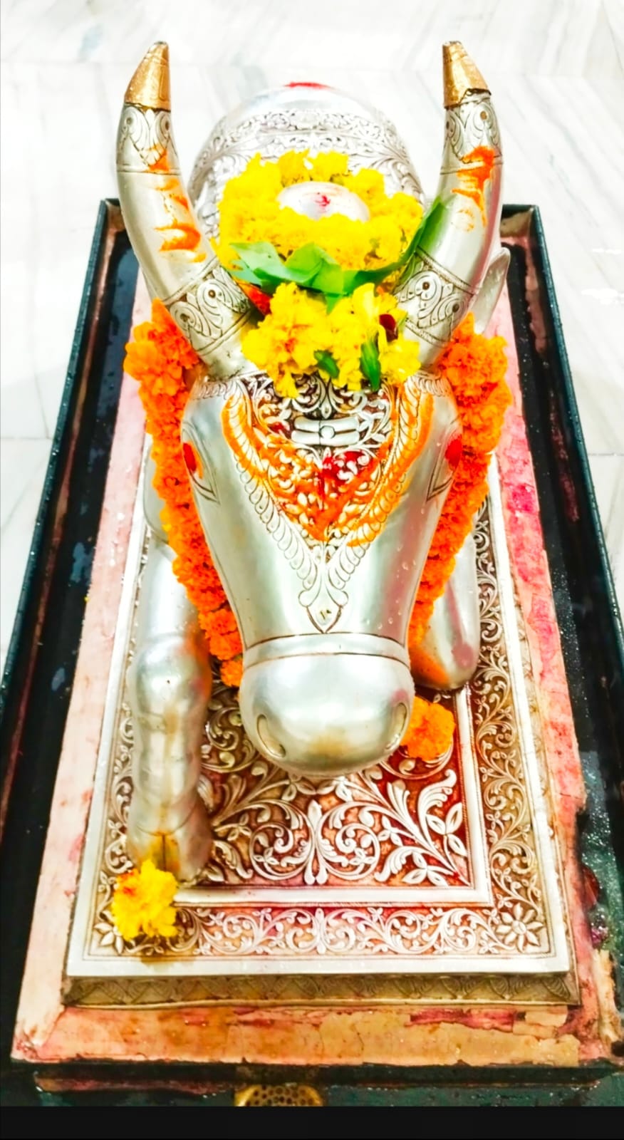 आज की भस्मारती....चंदन का त्रिपुंड और रुद्राक्ष की माला पहनकर सजे बाबा महाकाल आज की भस्मारती....चंदन का त्रिपुंड और रुद्राक्ष की माला पहनकर सजे बाबा महाकाल