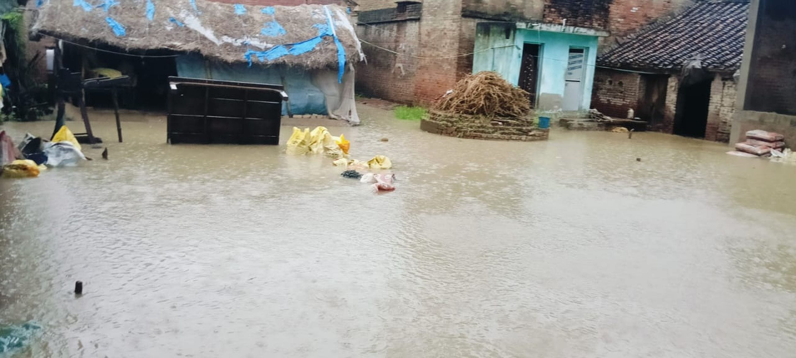 जलालपुर के कटका में बारिश व तेज हवा से गिरी धान की फसल। जलालपुर के कटका में बारिश व तेज हवा से गिरी धान की फसल।
