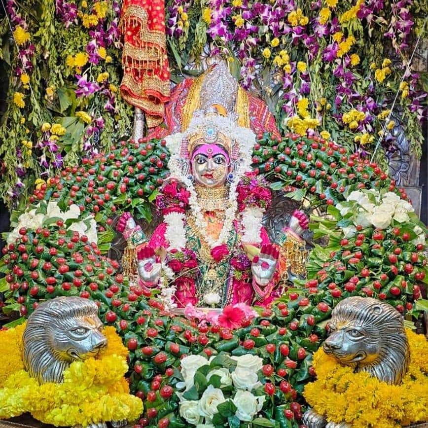 शारदीय नवरात्रि में पालकी पर सवार होकर आएगी मां जगदंबा, इस वर्ष रवि योग है अत्यंत शुभ