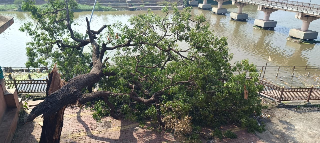 वाह रे नगर निगम....मंगलनाथ मंदिर परिसर मे सुबह गिरा था पेड़ 7 घंटे बाद भी पेड़ हटाने नहीं पहुंच वाह रे नगर निगम....मंगलनाथ मंदिर परिसर मे सुबह गिरा था पेड़ 7 घंटे बाद भी पेड़ हटाने नहीं पहुंच
