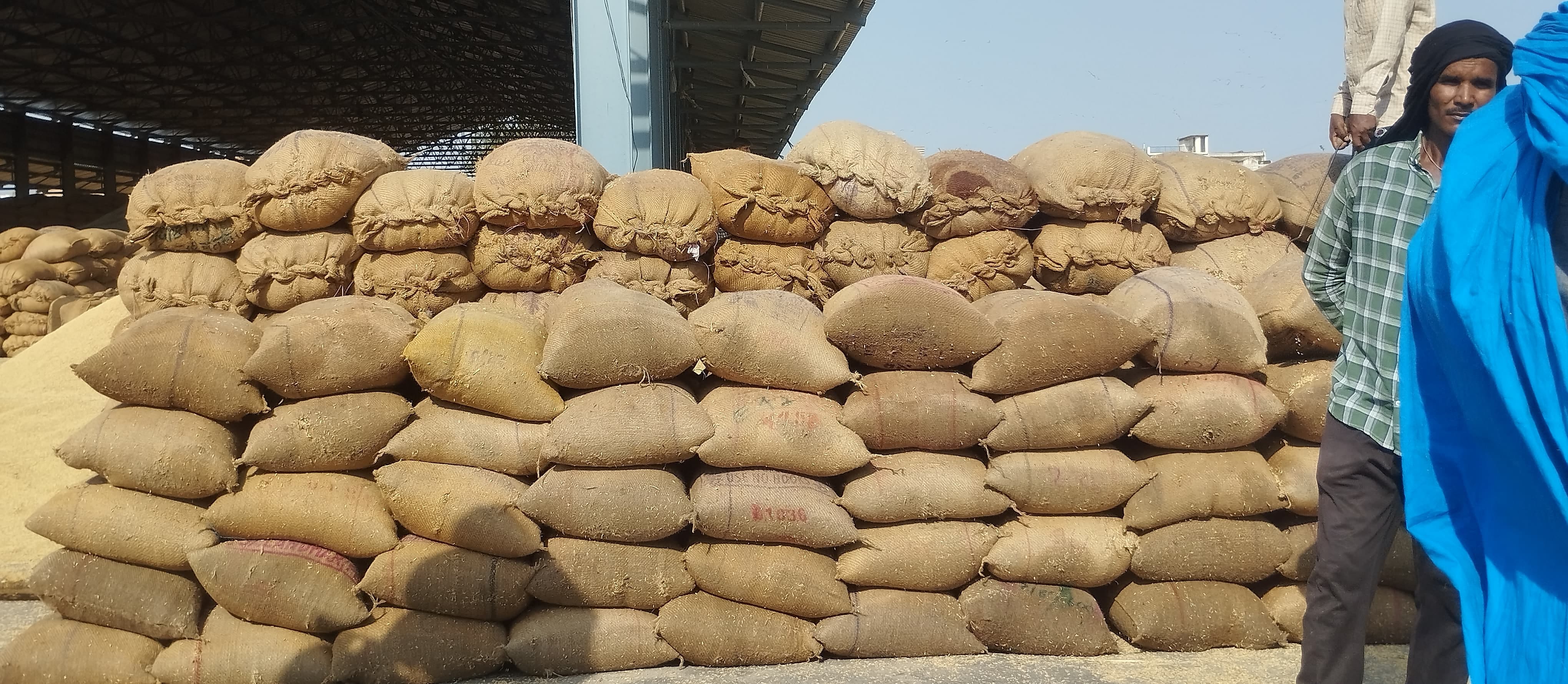 स्थान न होने के कारण मंडी की सड़क पर धान उतारते हुए किसान। स्थान न होने के कारण मंडी की सड़क पर
