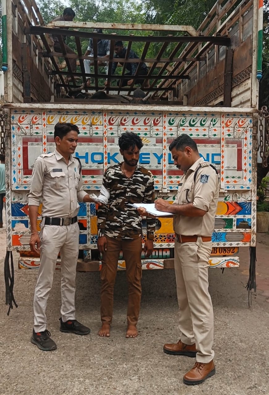 फिल्मी स्टाइल में हो रही थी मवेशियों की तस्करी