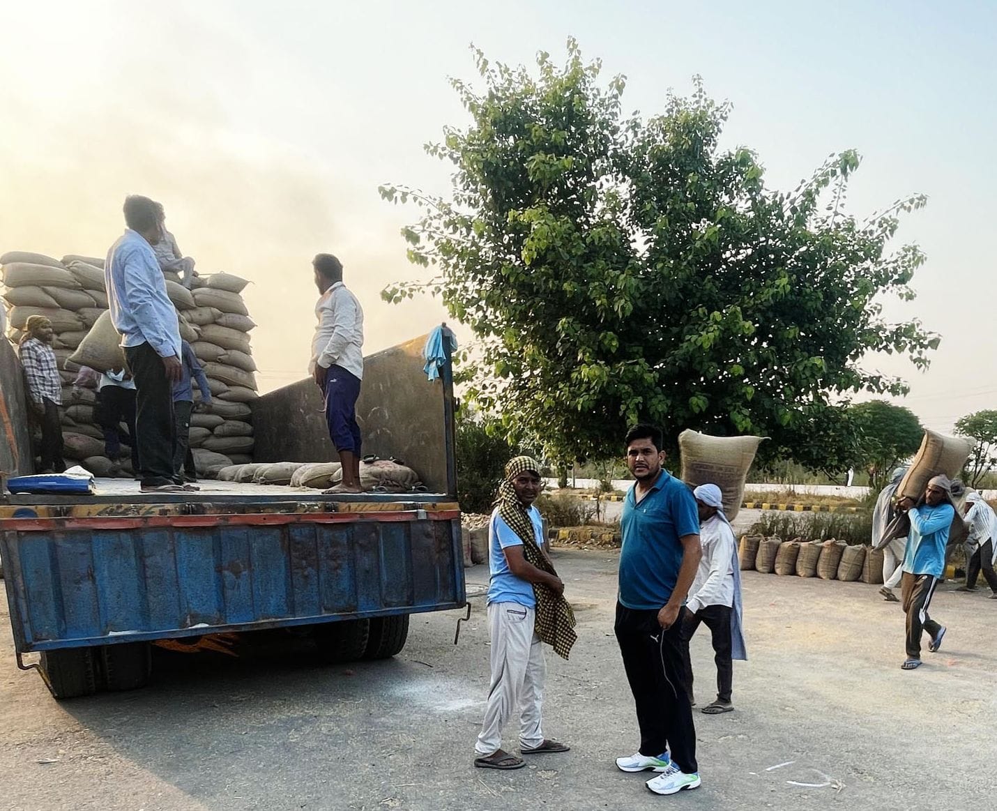 13जेएनडी20-अतिरिक्त मंडी में खरीदी गई पीआर धान की लोडिंग का चल रहा काम। संवाद 13जेएनडी20-अतिरिक्त मंडी में खरीदी गई पीआर धान की लोडिंग का चल रहा काम। संवाद