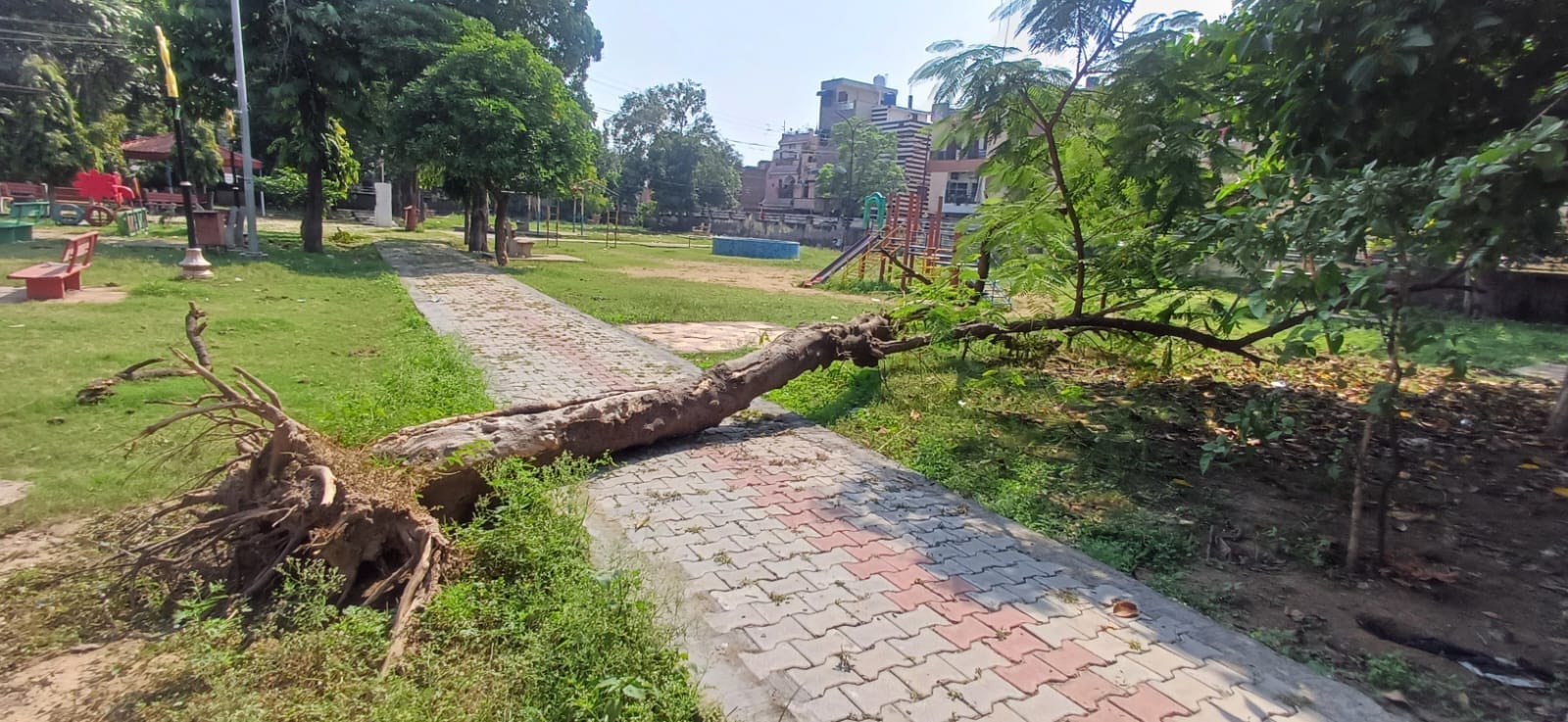 छावनी की लाल कुर्ती स्थित स्वर्ण जयंती पार्क के गेट पर पसरी गंदगी। छावनी की लाल कुर्ती स्थित स्वर्ण जयंती पार्क के गेट पर पसरी गंदगी।