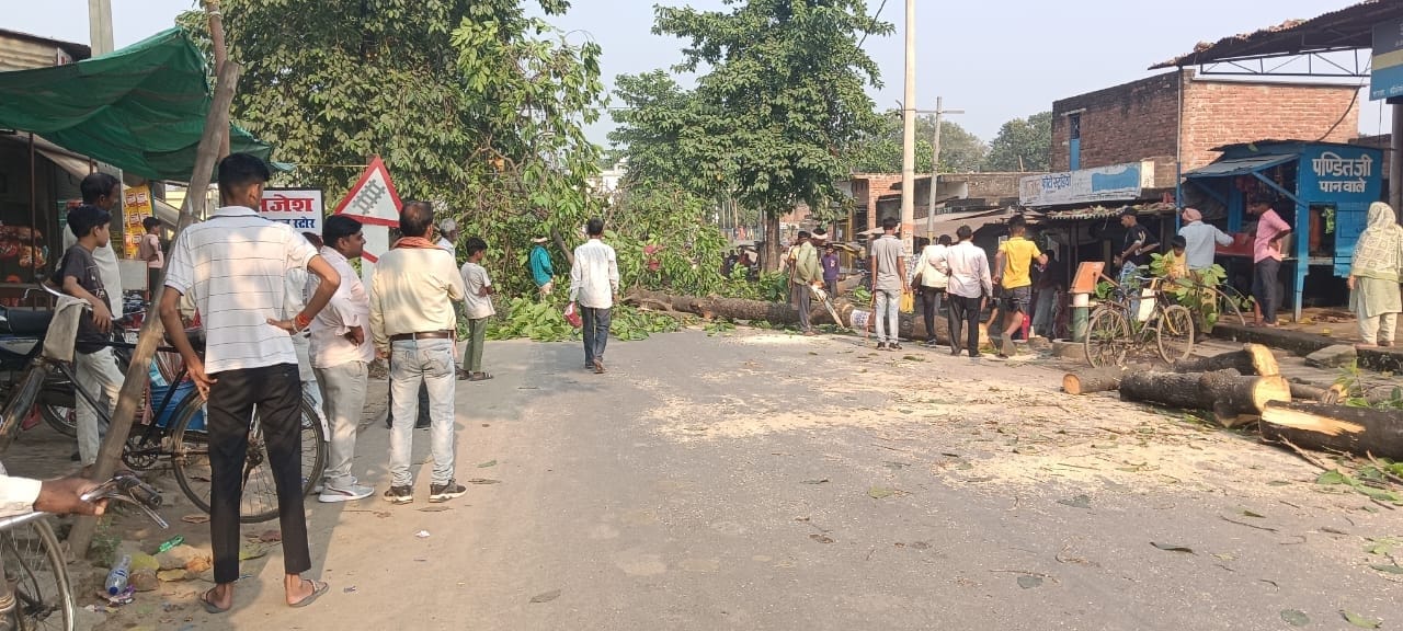 तिकुनिया मझरा खैरेटिया का बदहाल मार्ग। संवाद तिकुनिया मझरा खैरेटिया का बदहाल मार्ग। संवाद