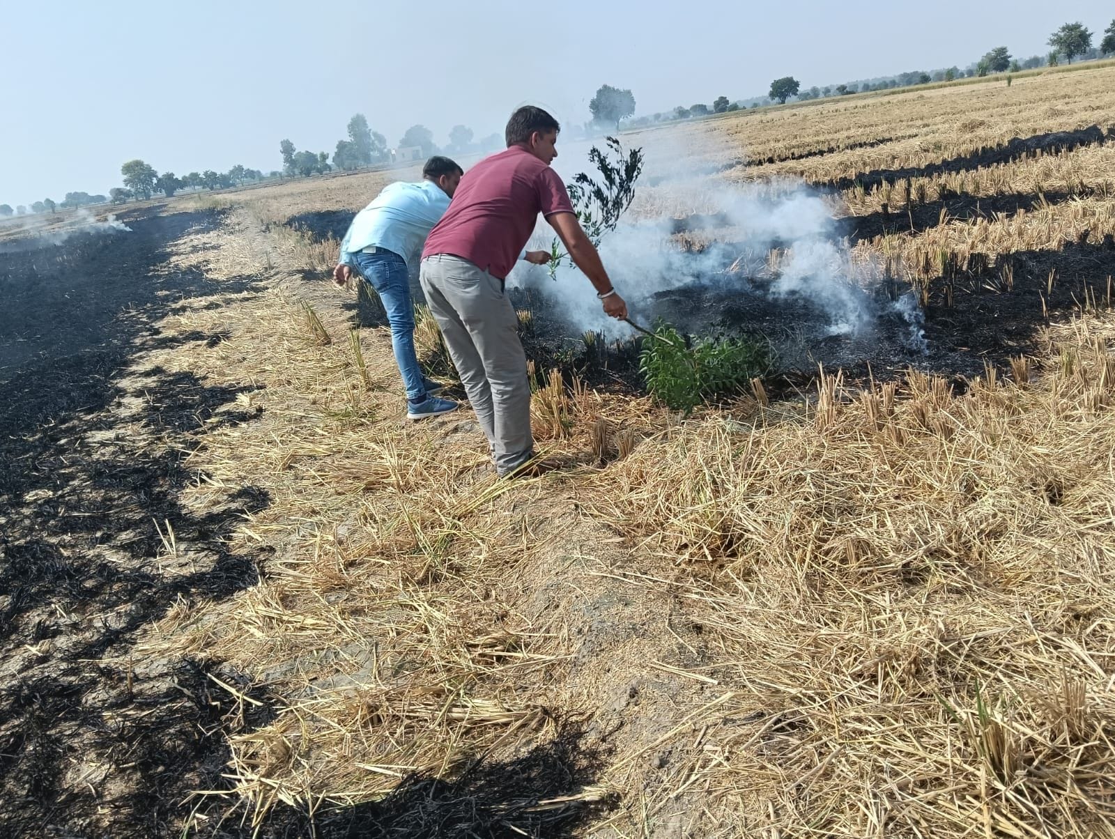 20जेएनडी33 : गांव दनौदा कलां में खेतों की लगी आग बुझाते कृषि विभाग के कर्मचारी। संवाद