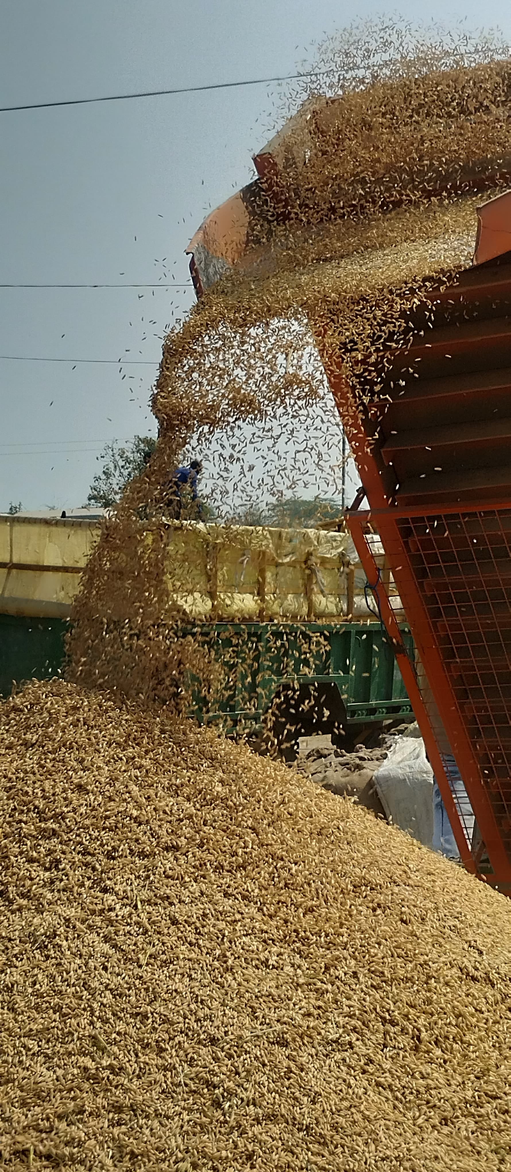 सिटी नई अनाज मंडी में किसानों की समस्या जानने के लिए पहुंचे किसान मजदूर यूनियन हरियाणा के प्रदे सिटी नई अनाज मंडी में किसानों की समस्या जानने के लिए पहुंचे किसान मजदूर यूनियन हरियाणा के प्रदे