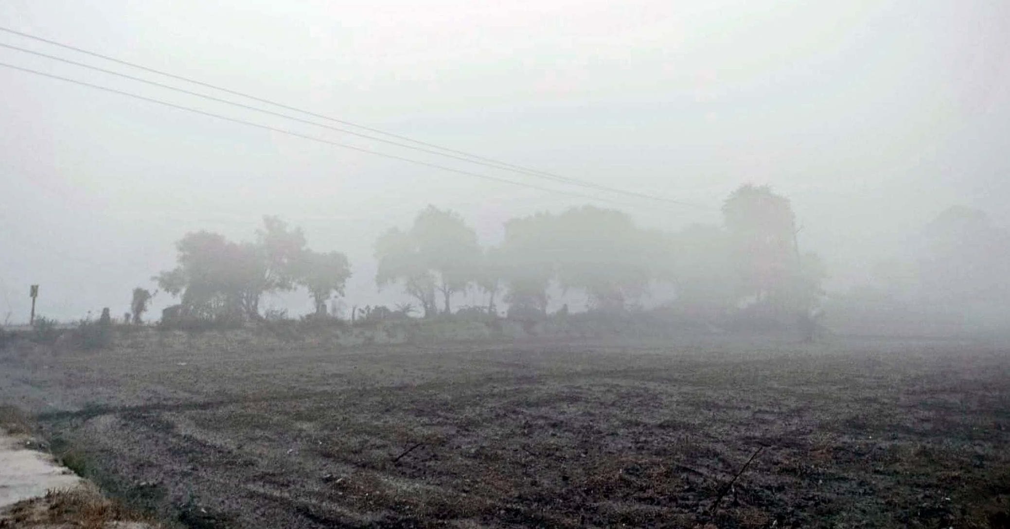 24जेएनडी10-वीरवार सुबह खेतों में छाया स्मॉग। संवाद
