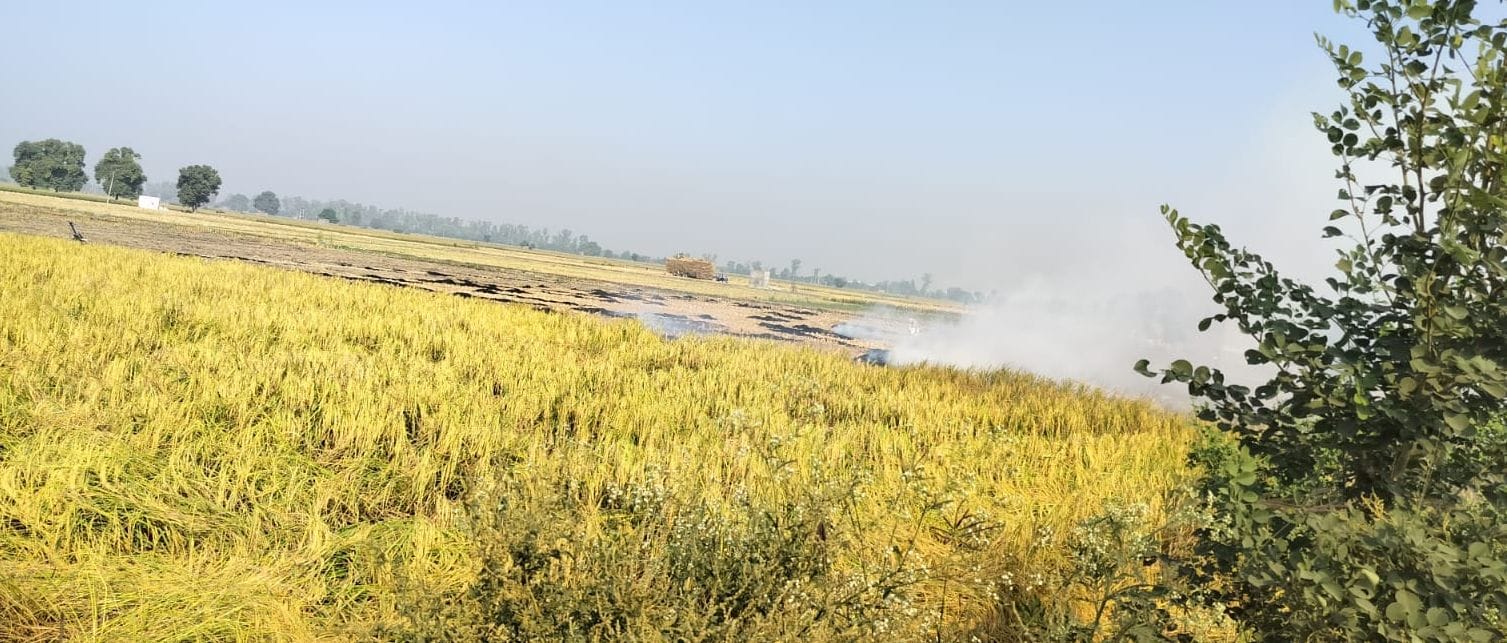जुलाना-हांसी रोड पर जलाई गई पराली। संवाद जुलाना-हांसी रोड पर जलाई गई पराली। संवाद