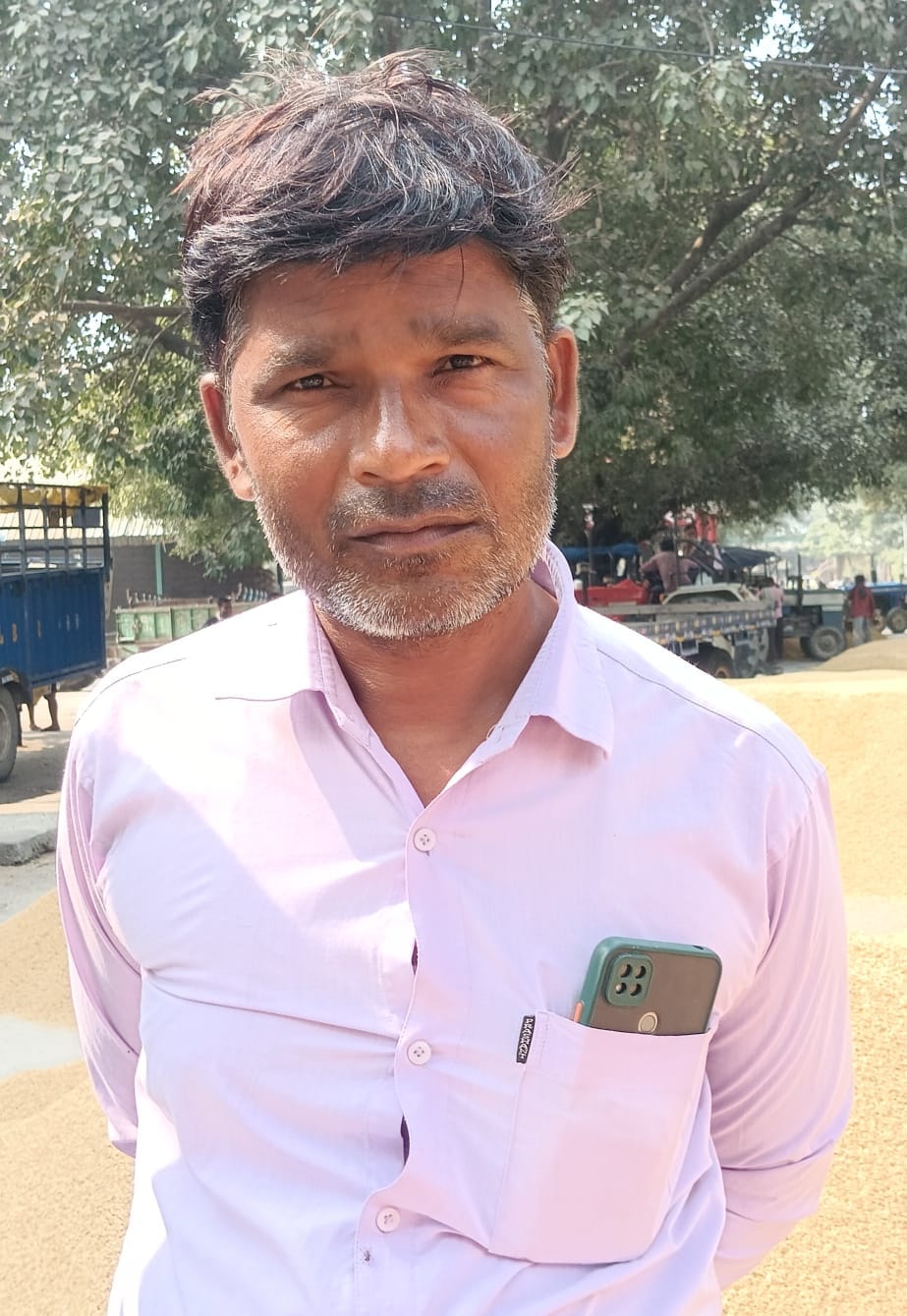 पीलीभीत की मंडी समिति परिसर में लगी धान की ढेरियां।संवाद पीलीभीत की मंडी समिति परिसर में लगी धान की ढेरियां।संवाद