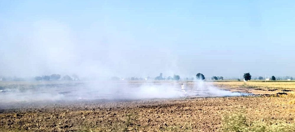 28जेएनडी23-पिल्लूखेड़ा क्षेत्र के एक गांव के खेतों में लगाई गई आग। संवाद 28जेएनडी23-पिल्लूखेड़ा क्षेत्र के एक गांव के खेतों में लगाई गई आग। संवाद