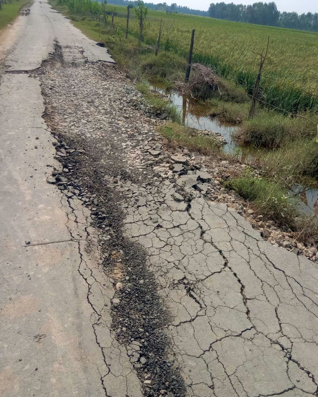 तिलहर में अस्पताल रोड पर हुआ गड्ढा। संवाद तिलहर में अस्पताल रोड पर हुआ गड्ढा। संवाद