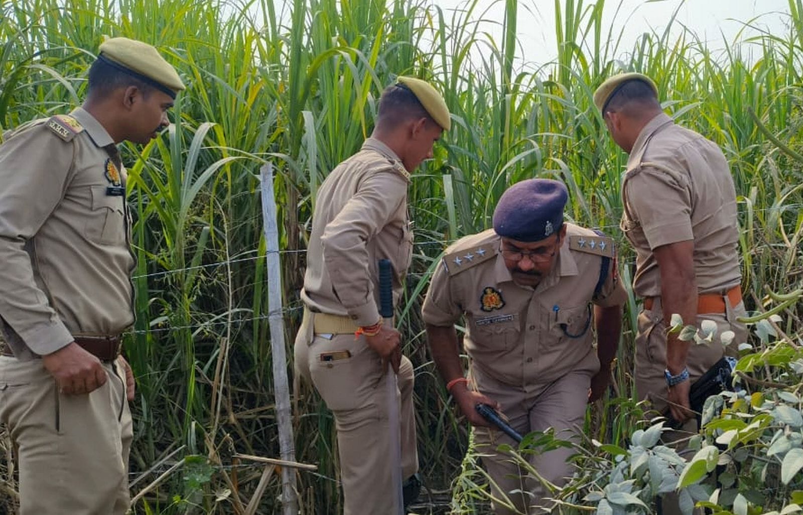 उघैती क्षेत में गन्ने के खेत में बदमाशों की तलाश करती पुलिस व जुटी भीड़। संवाद उघैती क्षेत में गन्ने के खेत में बदमाशों की तलाश करती पुलिस व जुटी भीड़। संवाद