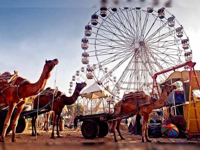 2 नवंबर से होगी पुष्कर पशु मेले की शुरुआत