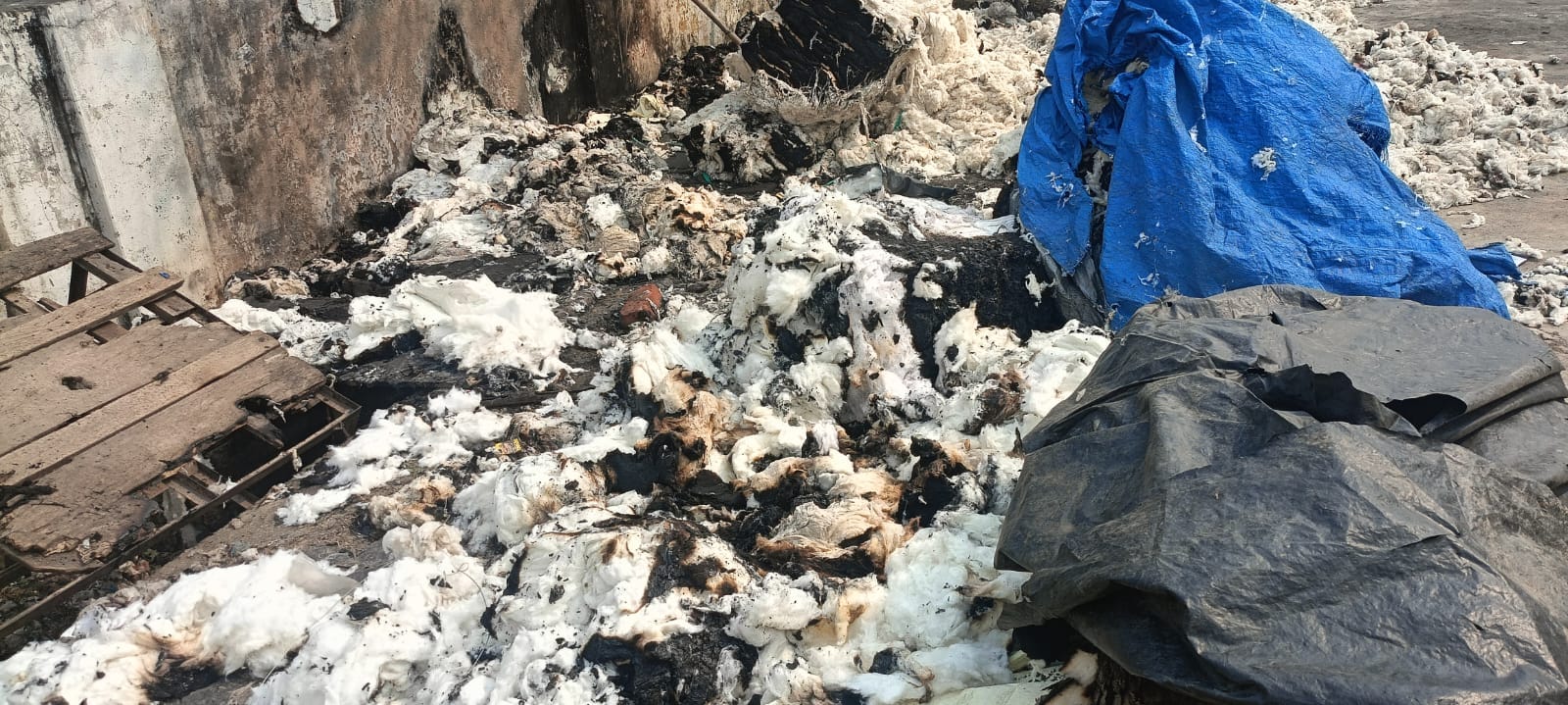 पीलीभीत शहर के मोहल्ला खकरा में गोदाम में लगी आग को बुझाती दमकल की गाड़ी। स्रोत- टीम
