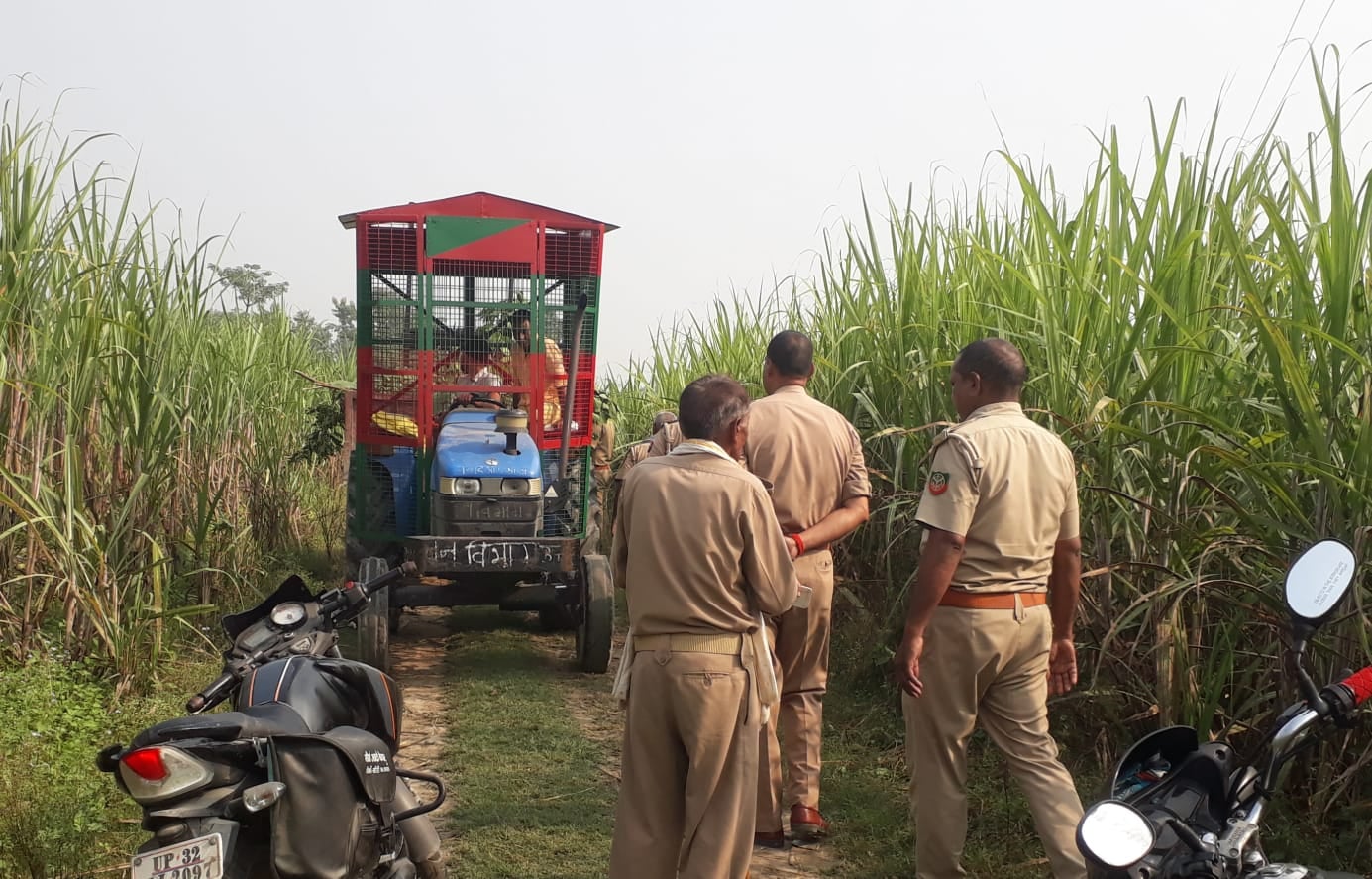 मझगईं के चौखड़ा फार्म में गन्ने के खेत में मौजूद वन विभाग की टीम। संवाद मझगईं के चौखड़ा फार्म में गन्ने के खेत में मौजूद वन विभाग की टीम। संवाद