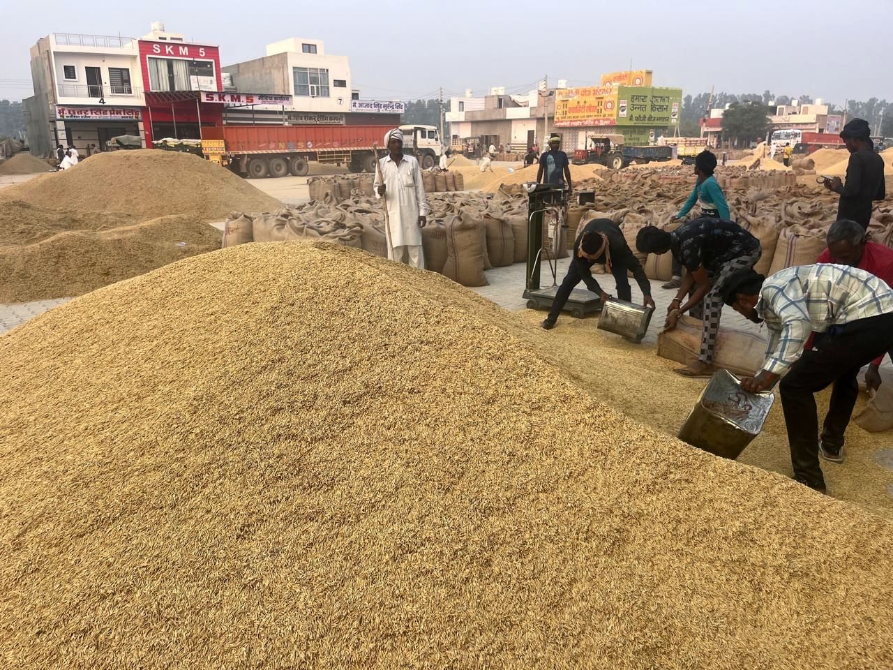 02जेएनडी15: जुलाना की नई अनाज मंडी में धान की लगी ढेरियां। संवाद