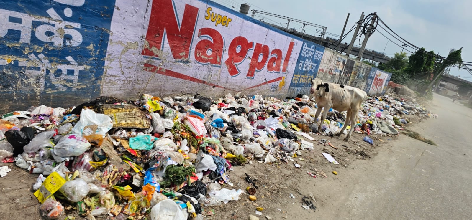 बाजार में लगा कूड़े का ढेर। बाजार में लगा कूड़े का ढेर।