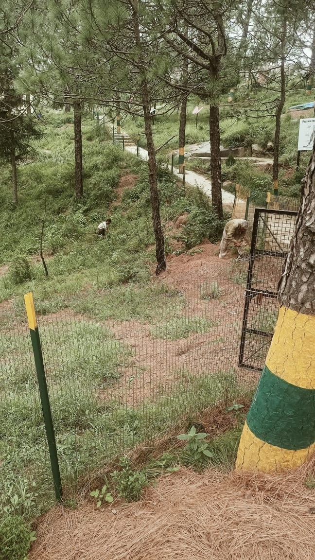 पच्छाद विधानसभा क्षेत्र के अंतर्गत क्वागधार में तैयार किया गया नेचर पार्क। संवाद