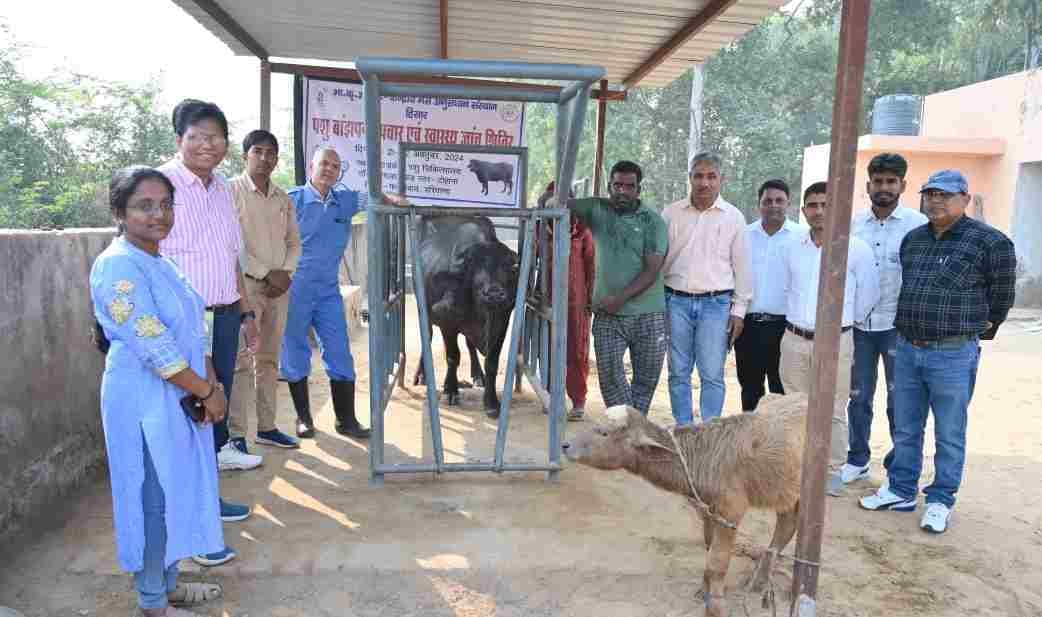 जाट धर्मशाला में राजकुमार फौजी संघर्ष समिति के सदस्यगण बैठक करते। जाट धर्मशाला में राजकुमार फौजी संघर्ष समिति के सदस्यगण बैठक करते।