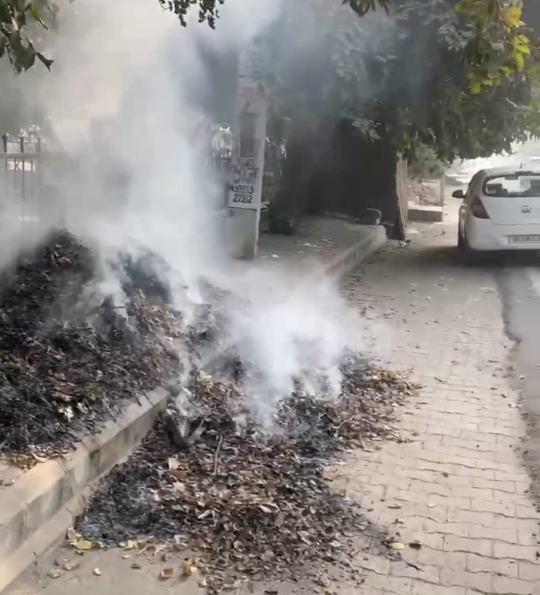 -फोटो 53 : सेक्टर-9 में जहरीला धुआं छोड़ती बाइक से गुजर रहे युवक। संवाद -फोटो 53 : सेक्टर-9 में जहरीला धुआं छोड़ती बाइक से गुजर रहे युवक। संवाद