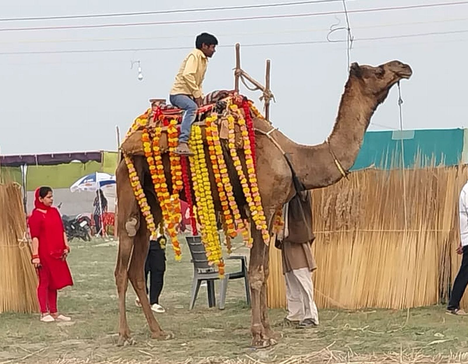 मेला ककोड़ा में बसा तंबुओं का शहर। संवाद