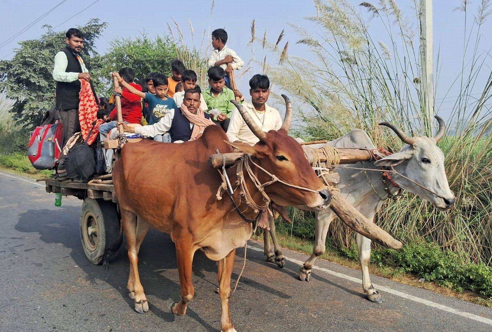 मेला ककोड़ा में वॉच टावर से निगरानी करता पुलिस कर्मी। संवाद मेला ककोड़ा में वॉच टावर से निगरानी करता पुलिस कर्मी। संवाद