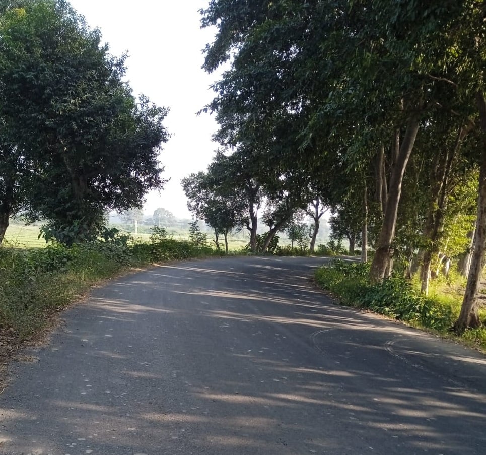 बलरामपुर पुलिस चौकी के पास तीव्र मोड़।संवाद