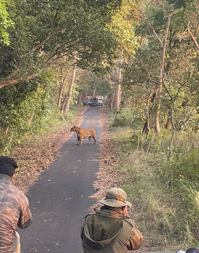 मुस्तफाबाद गेस्ट हाउस के पास बनाए गए पार्किंग स्थल पर खड़े जंगल सफारी वाहन।संवाद मुस्तफाबाद गेस्ट हाउस के पास बनाए गए पार्किंग स्थल पर खड़े जंगल सफारी वाहन।संवाद