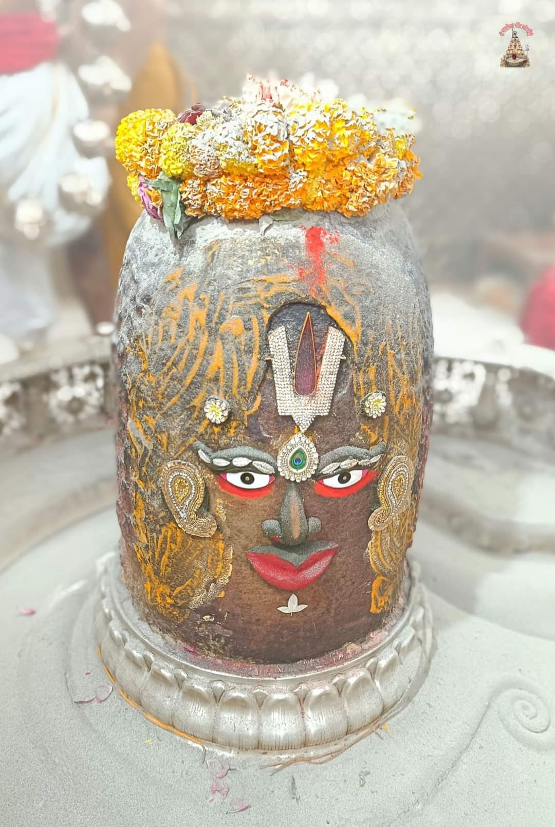 भस्म आरती मे मोर पंख की माला पहनकर सजे बाबा महाकाल, हजारों भक्तों ने लिया आशीर्वाद