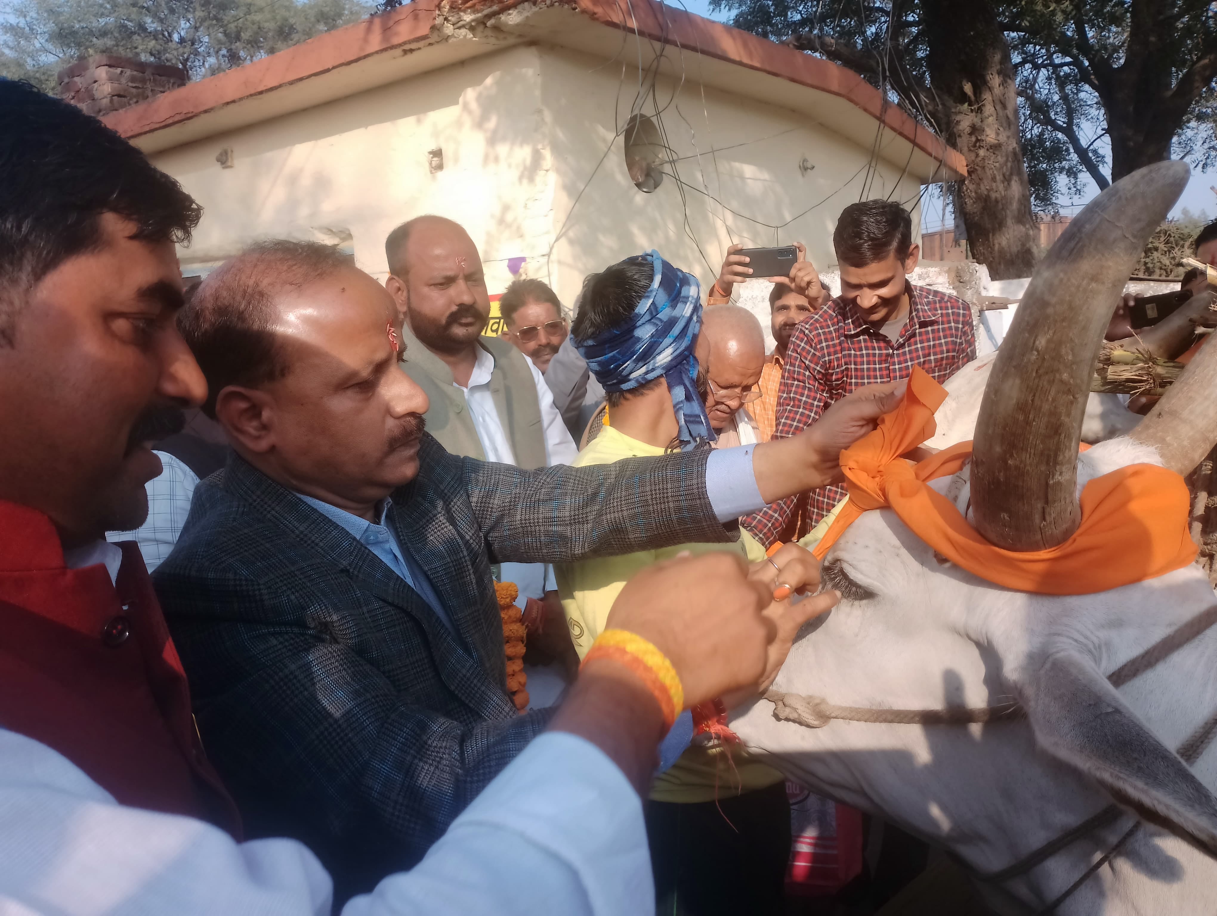 पूरनपुर चीनी मिल के पेराई सत्र के शुभारंभ पर बैलगाड़ी का पूजन करते डीएम संजय कुमार सिंह।स्रोत:स पूरनपुर चीनी मिल के पेराई सत्र के शुभारंभ पर बैलगाड़ी का पूजन करते डीएम संजय कुमार सिंह।स्रोत:स